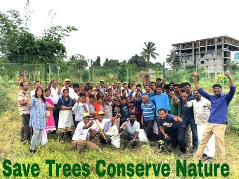 TREE  PLANTATION  PROJECT